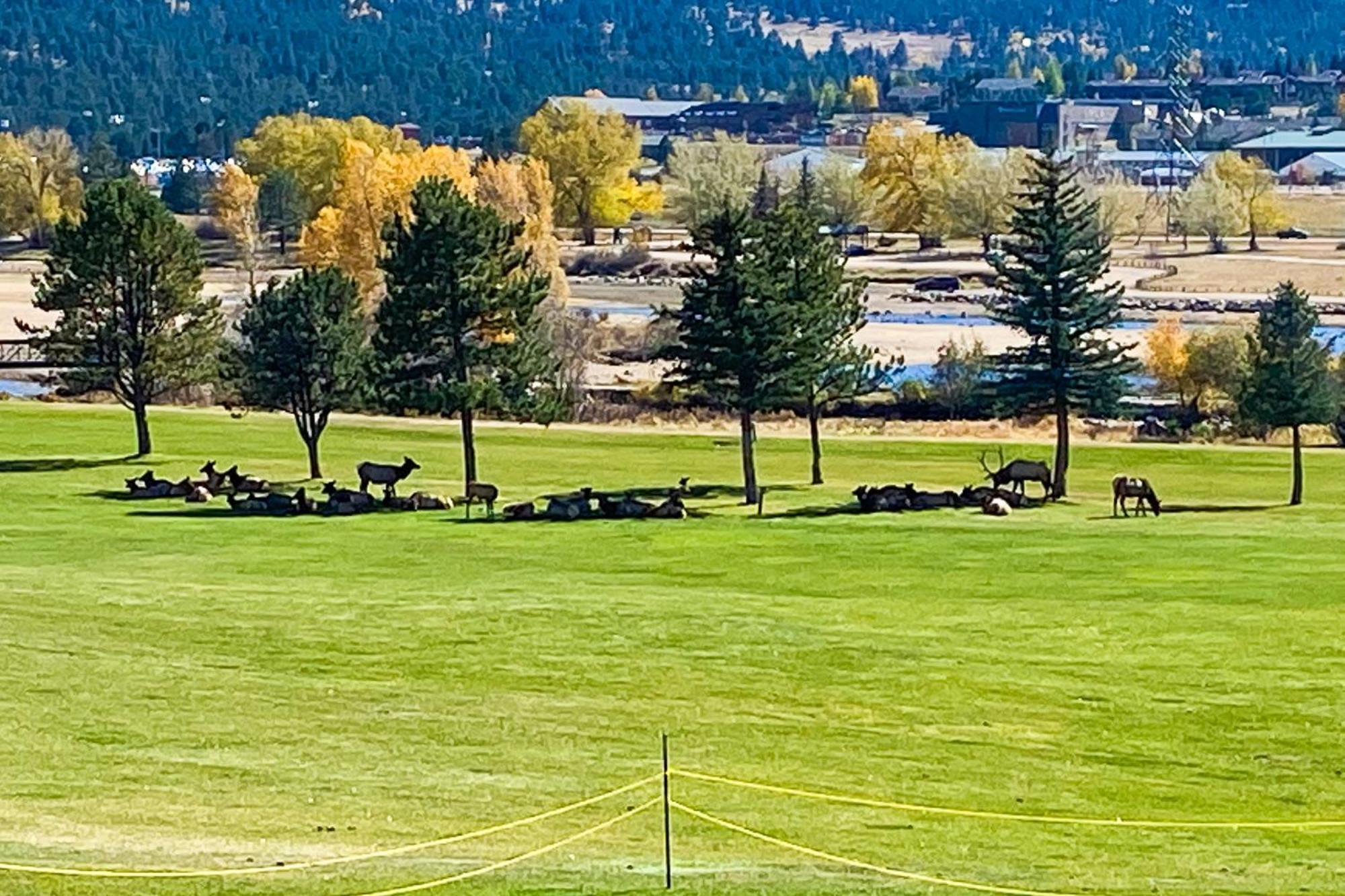 Villa Fairways & 14Ers Estes Park Esterno foto