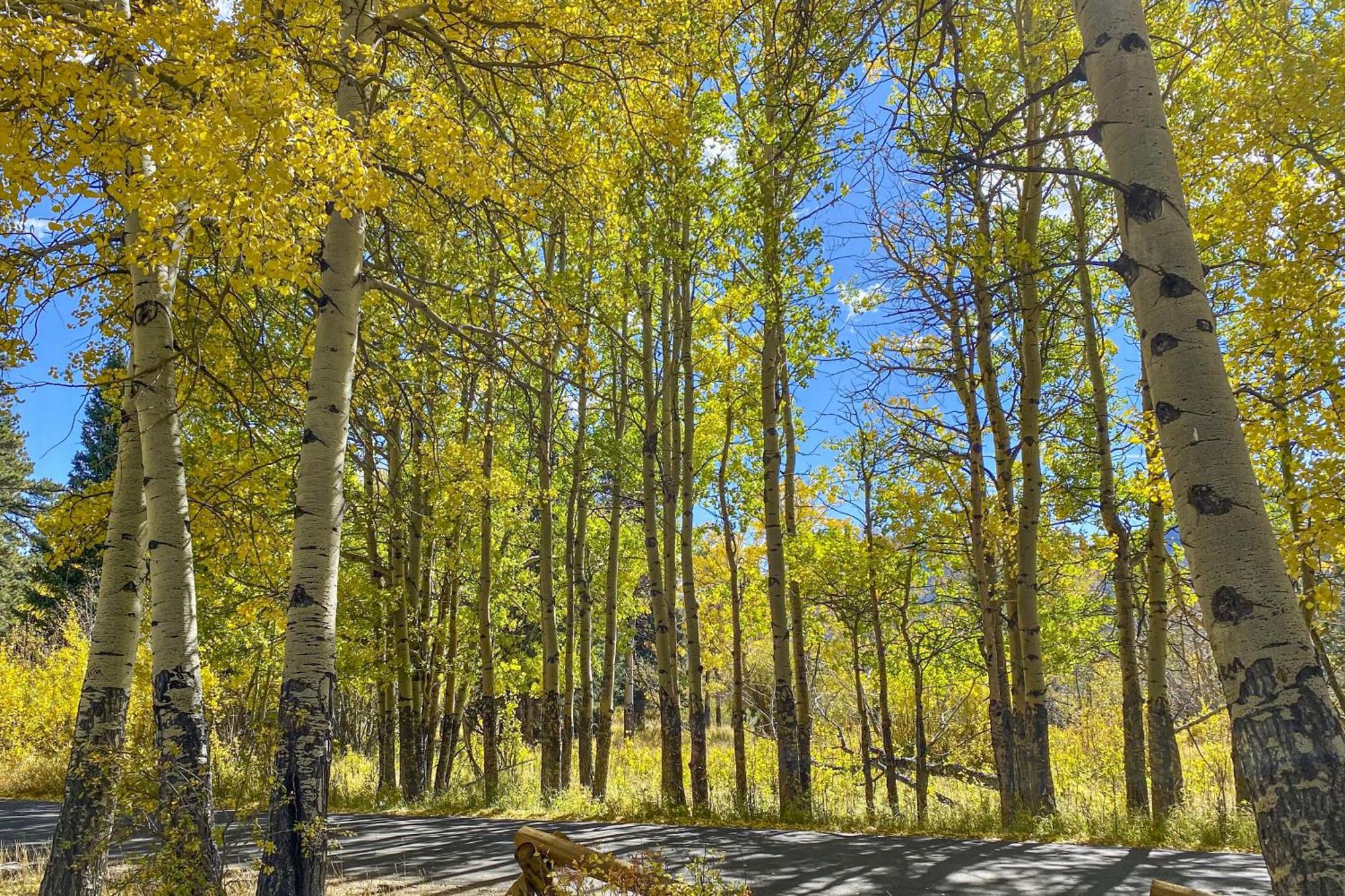 Villa Fairways & 14Ers Estes Park Esterno foto